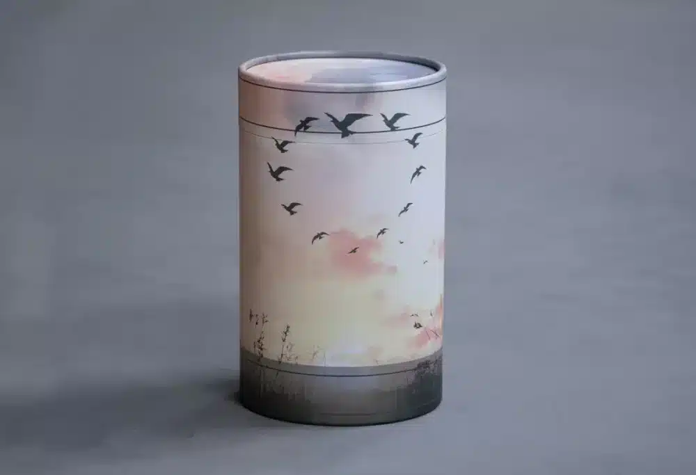 Askerør m/strand og fugle